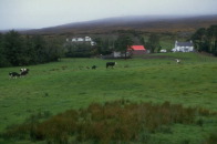 farm
